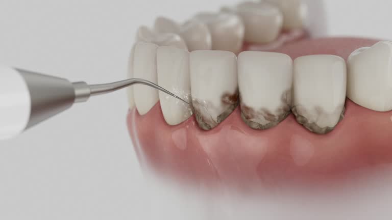 Reliable Dental contractor in Orchidlands Estates, HI by Dentist Open Now